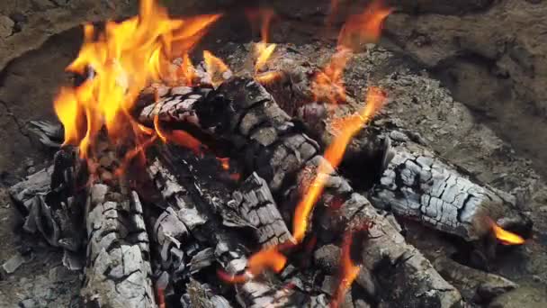 Close View bij gloeiende houtskool en vlam in barbecue grill - Video