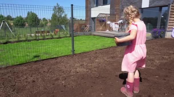 Küçük kız konağın bahçesinde toprağa yeni çim tohumları ekiyor. Gimbal hareketi - Video, Çekim
