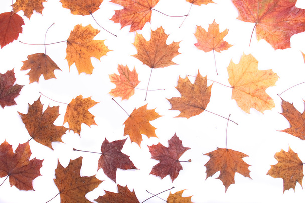 Осенний фон
 - Фото, изображение