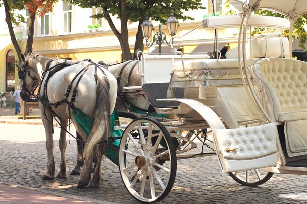paarden getrokken vervoer op zomer stad straat - Foto, afbeelding