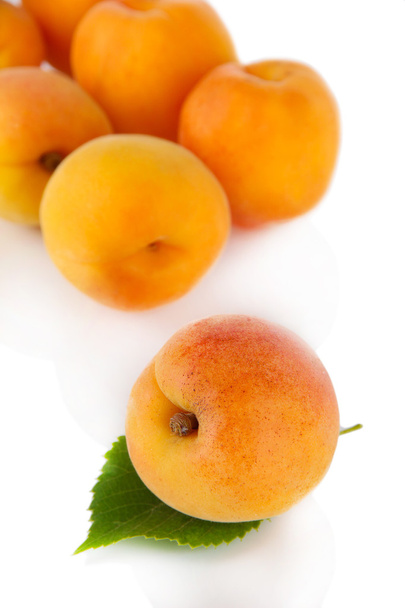 Apricots on white - Φωτογραφία, εικόνα