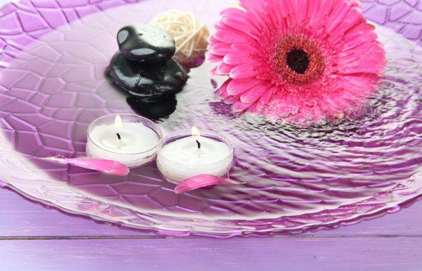 Spa stones, beautiful gerbera and candles on water - 写真・画像
