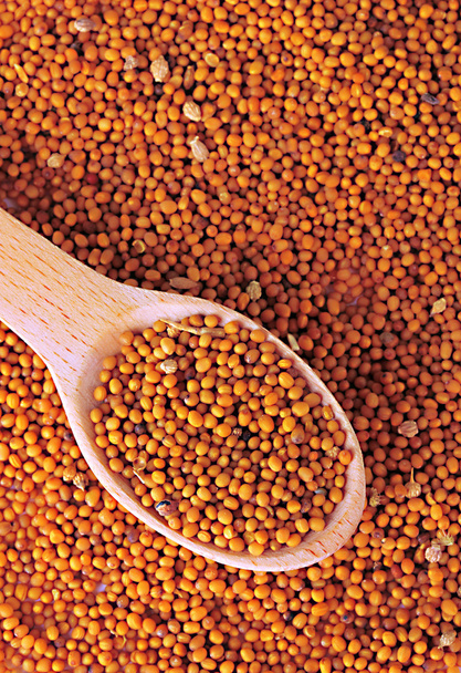 Mustard seeds, close up - Valokuva, kuva