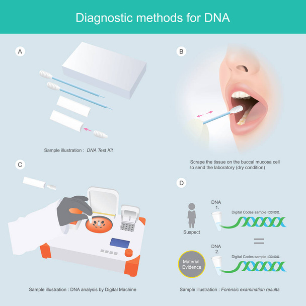 Metodi diagnostici per il DNA. Illustrazione 3D infografica
. - Vettoriali, immagini