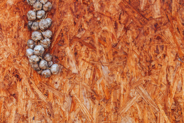 Σκόρδα σκόρδο σε ξύλινο φόντο κρέμονται στη γωνία - Φωτογραφία, εικόνα