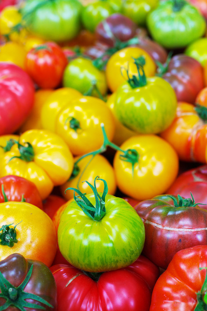 Haufen historischer Tomaten - Foto, Bild