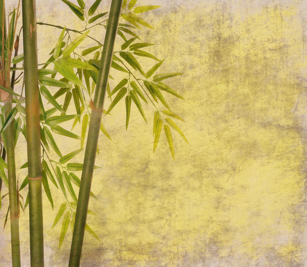 oud papier textuur met bamboe - Foto, afbeelding