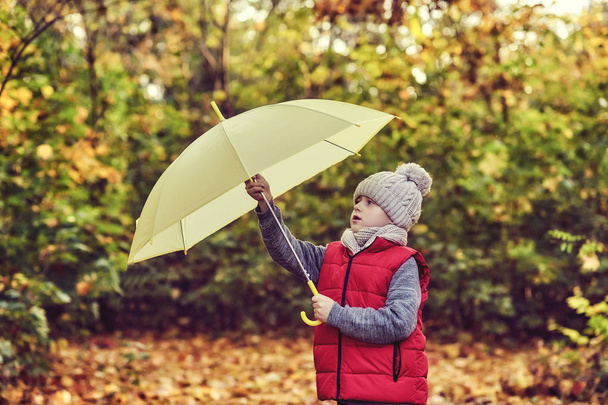 Niño con un paraguas en el bosque de otoño. Caminatas al aire libre
 - Foto, Imagen