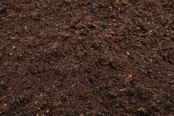 Fresh soil for gardening as background, closeup - Φωτογραφία, εικόνα