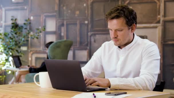 Businessman successfully working on laptop - Záběry, video