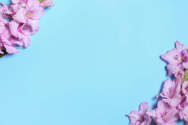 Flat lay composition with beautiful gladiolus flowers on blue background. Space for text - 写真・画像