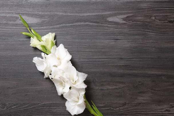 Beautiful white gladiolus flowers on dark wooden background, top view. Space for text - Fotoğraf, Görsel