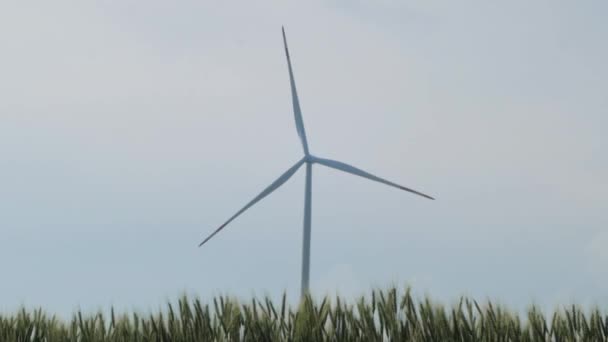 青空に対する小麦畑の電力生産用風車 - 映像、動画