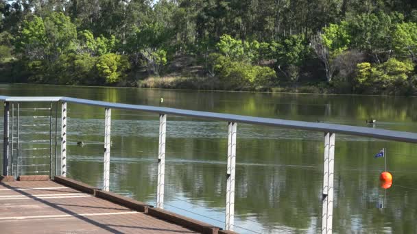Спрінгфілд озер у Іпсвіч-Сіті, Квінсленд, Австралія протягом дня. - Кадри, відео