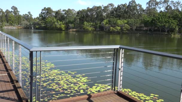 Springfield Lakes in Ipswich City, Queensland, Australië gedurende de dag. - Video