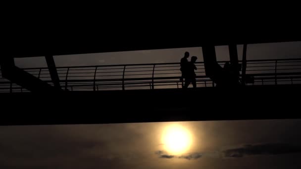Silouettes bij de metro brug in de Istanbul Golden Horn in slow motion - Video