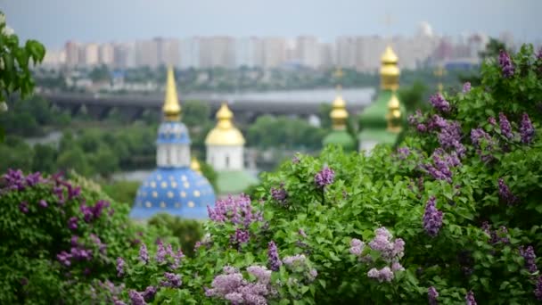 Wiosna Kijów Panorama po deszczu Kościół kwitnący liliowy Ukraina 4K wideo - Materiał filmowy, wideo