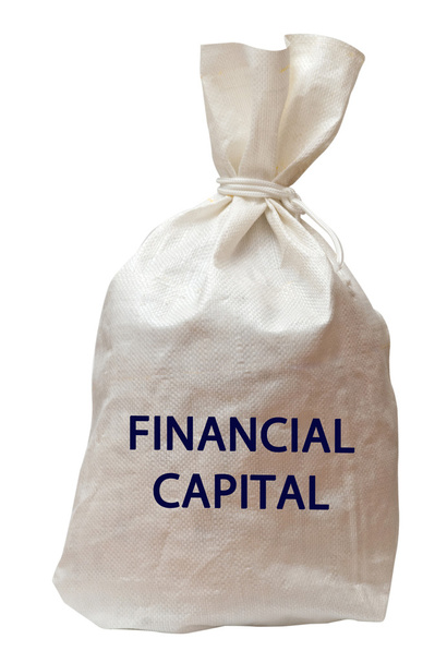 Bag with capital - Photo, Image