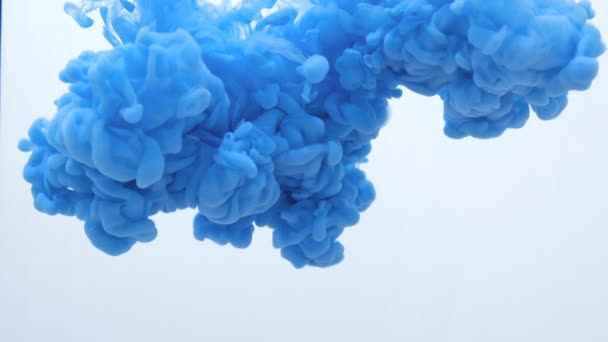Blauwe kleur verf inkt druppels in water slow motion video met Kopieer ruimte. Inky Cloud wervelende stromend onderwater. Abstracte geïsoleerde rook explosie - Video