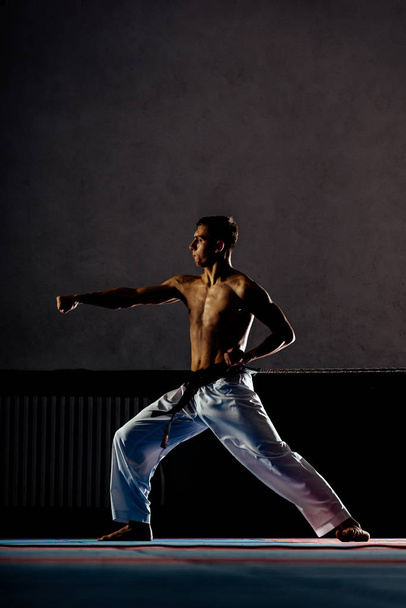 Maestro de artes marciales en entrenamiento de lucha en gimnasio
 - Foto, imagen