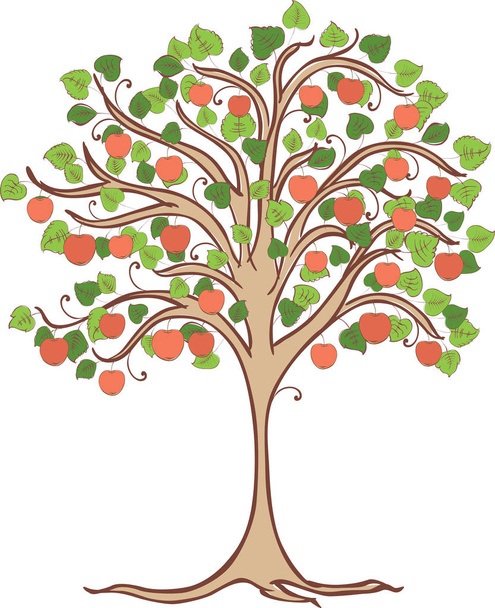 Векторное изображение яблони с спелыми красными яблоками
 - Вектор,изображение