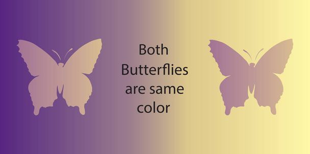Optikai csalódás. Mindkét pillangók azonos színű - Vektor, kép