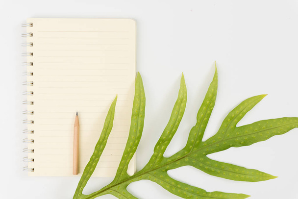 Blank notebook,pencil and Wart fern leaf on white background - Photo, Image
