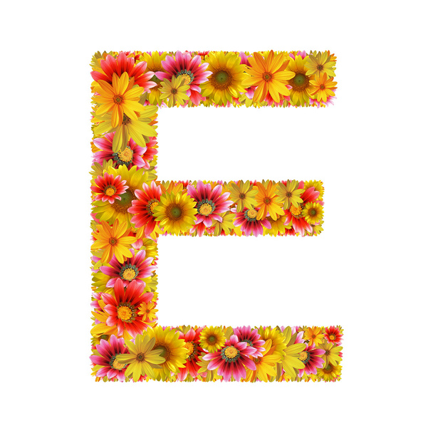 Flowers letter E - Φωτογραφία, εικόνα
