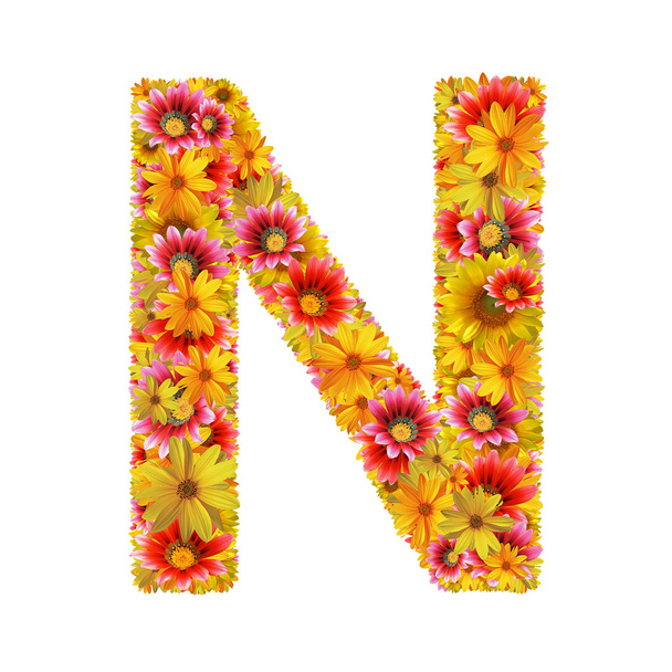 Flowers letter N - Foto, Imagem