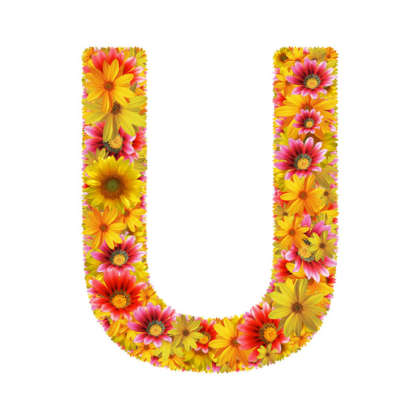 Flowers letter U - 写真・画像