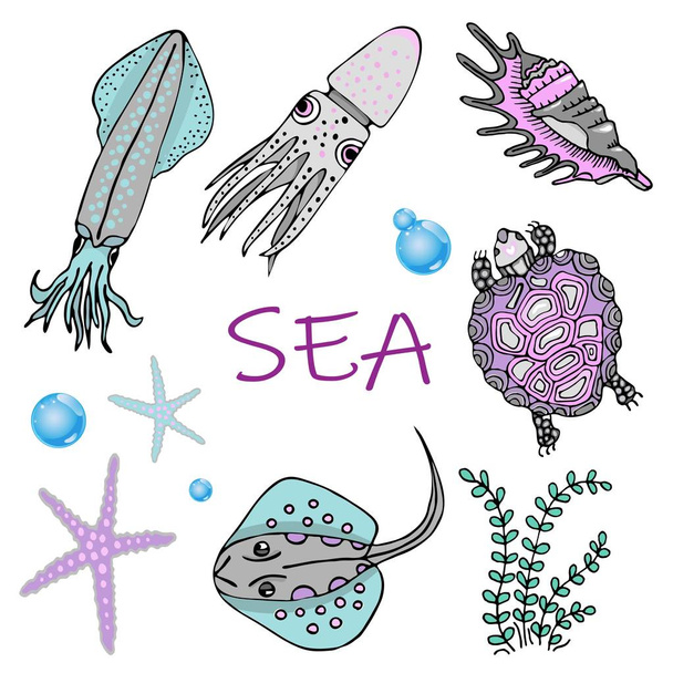 serie di animali marini. Pelle, calamari, tartarughe, stelle marine e conchiglie
.. - Vettoriali, immagini