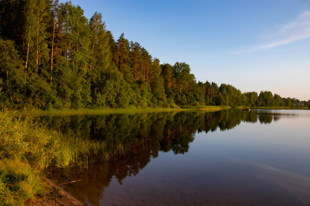 Shore of a forest lake in the sunset. - Zdjęcie, obraz