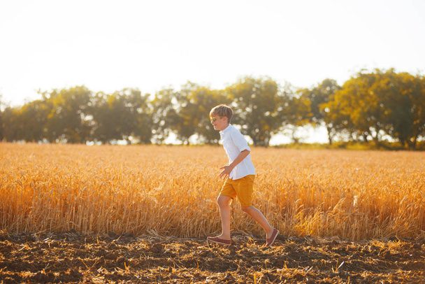 Photo of handsome boy, in a white shirt, running in a wheat fiel - Foto, immagini