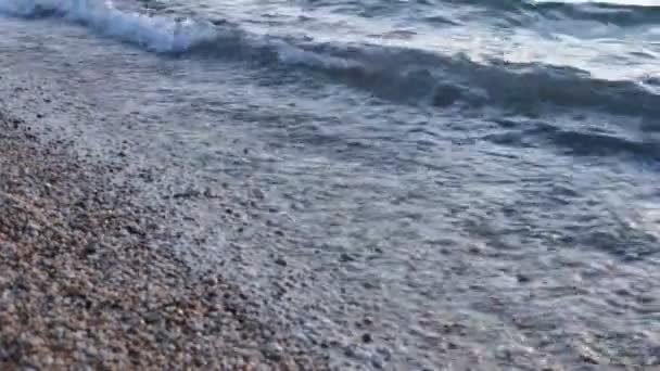 Küçük çakıl taşları ve berrak su dalgaları ile sahil - Video, Çekim