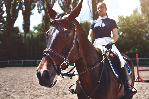 Portret Jockey dziewczyna obok koni, jazda konna, pojęcie reklamy klubu jeździeckiego, przygotowanie do skoków. Letnich. Tonowanie. - Zdjęcie, obraz