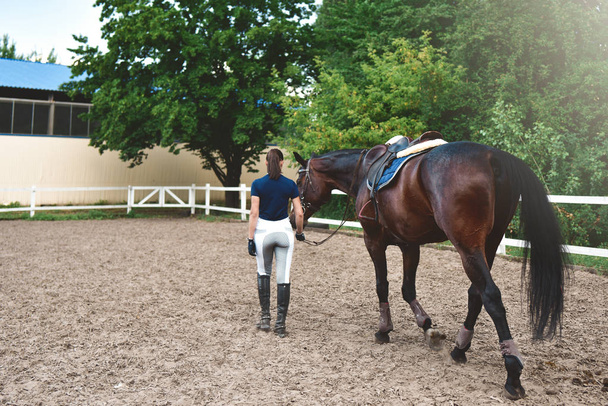 Mujer joven lleva a su caballo a entrenar y prepararlo para las carreras del hipódromo
 - Foto, imagen