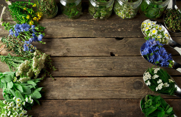 Świeże zioła lecznicze. Zioła lecznicze (rumianek, piołun, YAR - Zdjęcie, obraz