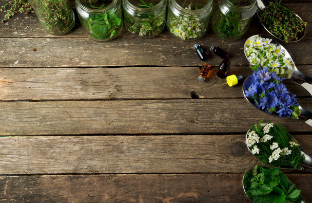 Fresh medicinal herbs. Medicinal herbs (chamomile, wormwood, yar - Foto, immagini