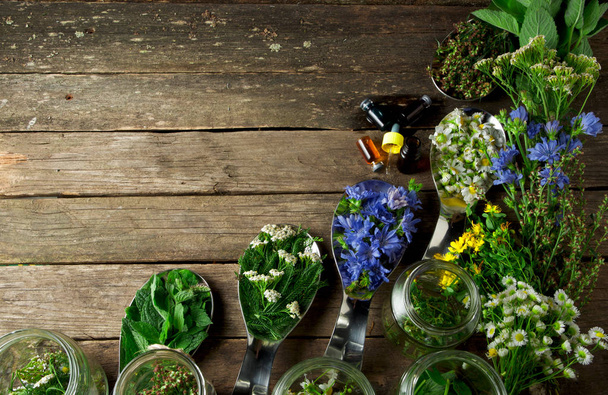 Fresh medicinal herbs. Medicinal herbs (chamomile, wormwood, yar - Foto, imagen