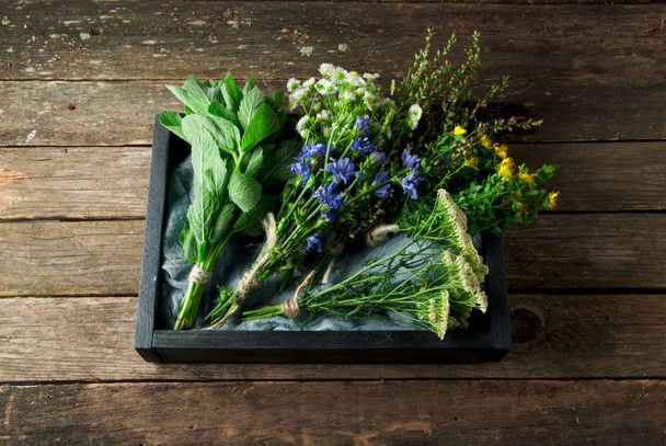 Fresh medicinal herbs. Medicinal herbs (chamomile, wormwood, yar - Фото, изображение