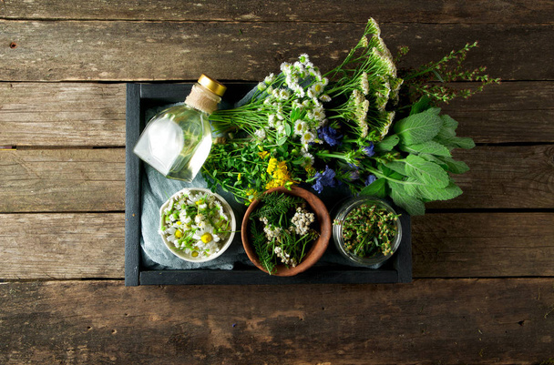 Fresh medicinal herbs. Medicinal herbs (chamomile, wormwood, yar - Foto, imagen