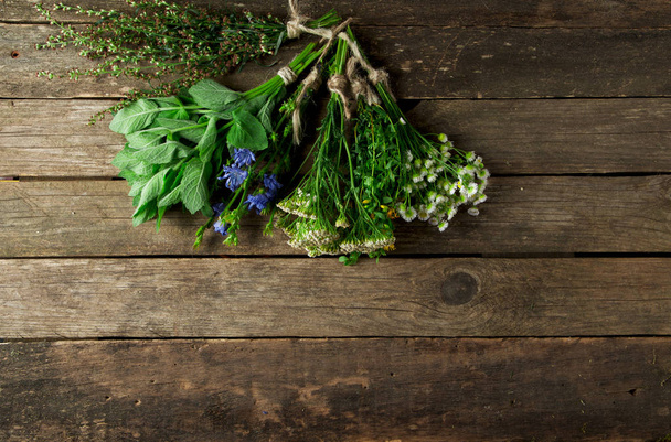 Fresh medicinal herbs. Medicinal herbs (chamomile, wormwood, yar - Fotografie, Obrázek