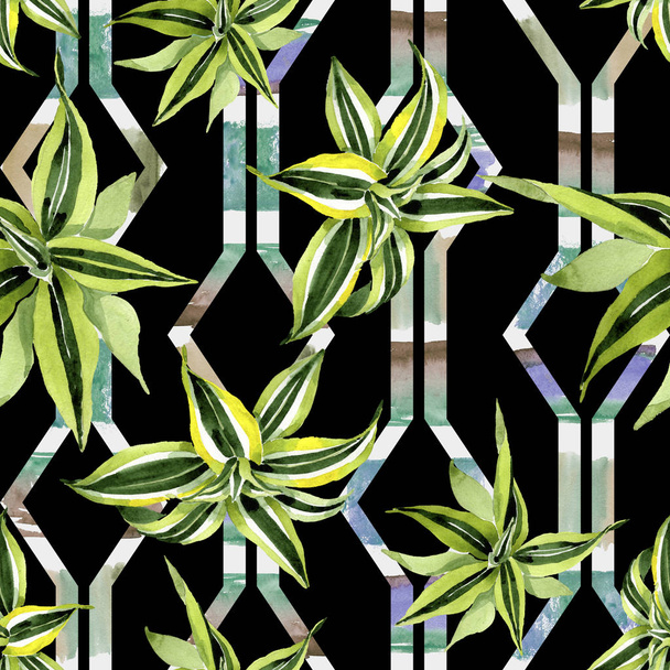Dracena green leaves. Leaf plant botanical floral foliage. Watercolor illustration set. Seamless background pattern. - Foto, Bild