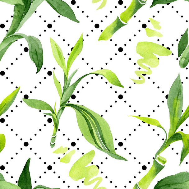 Bamboo green leaves. Watercolor background illustration set. Seamless background pattern. - 写真・画像