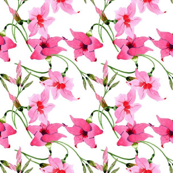 Pink mandevilla floral botanical flowers. Watercolor illustration background set. Seamless background pattern. - 写真・画像