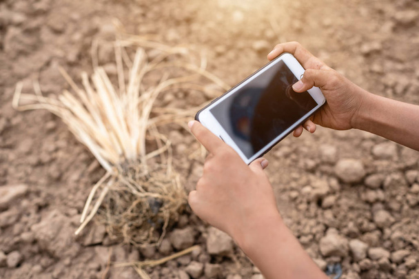 Asian student doing research or checking dry soil in empty land  - Foto, Imagem