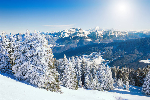 Alpler dağlarında karla kaplı ağaçlar, Fransa - Fotoğraf, Görsel