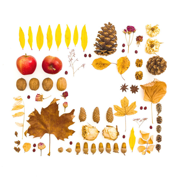 Podzimní skladba. Sušené listy, květiny, vlašskový ořech, piniové kužele - Fotografie, Obrázek