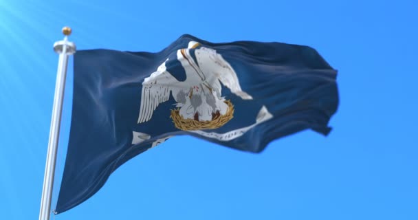 Flag of Louisiana state, region of the United States - loop - Footage, Video