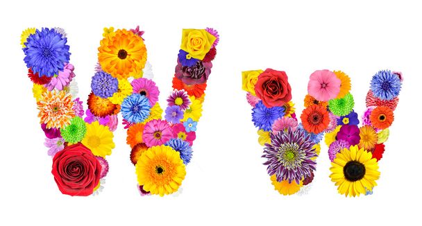 abeceda květin izolované na bílém - písmeno w - Fotografie, Obrázek